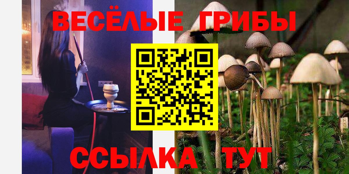 Кыштым  Галлюциногенные грибы GOLDEN TEACHER  Вход с VPN 